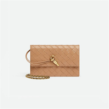 bottega veneta andiamo pouch on chain #844107